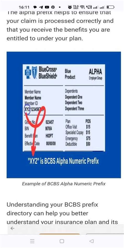 bcbs alpha prefix 2024|bcbs alpha prefixes list.